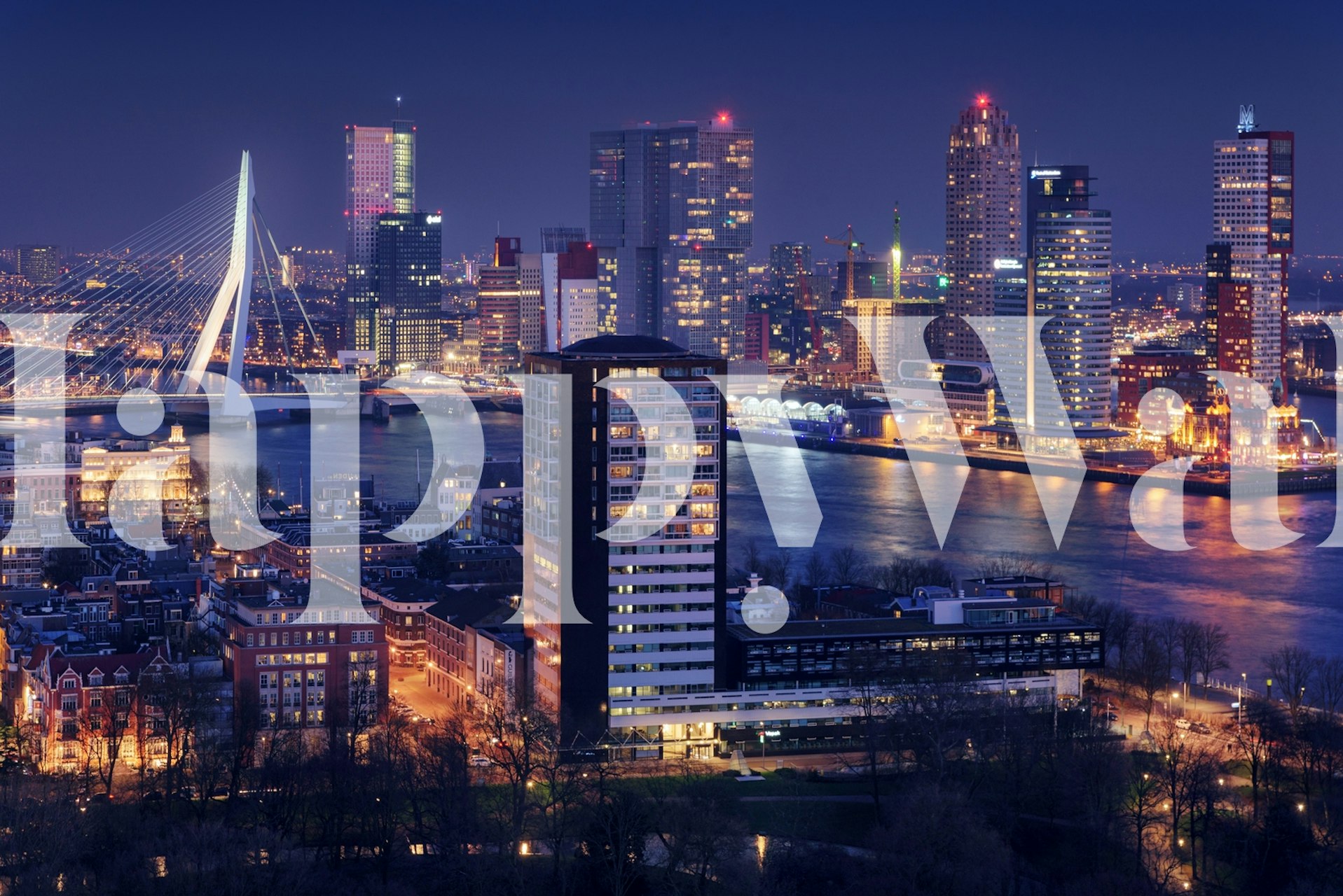 Night view of Rotterdam city skyline with lit-up buildings and Erasmus Bridge