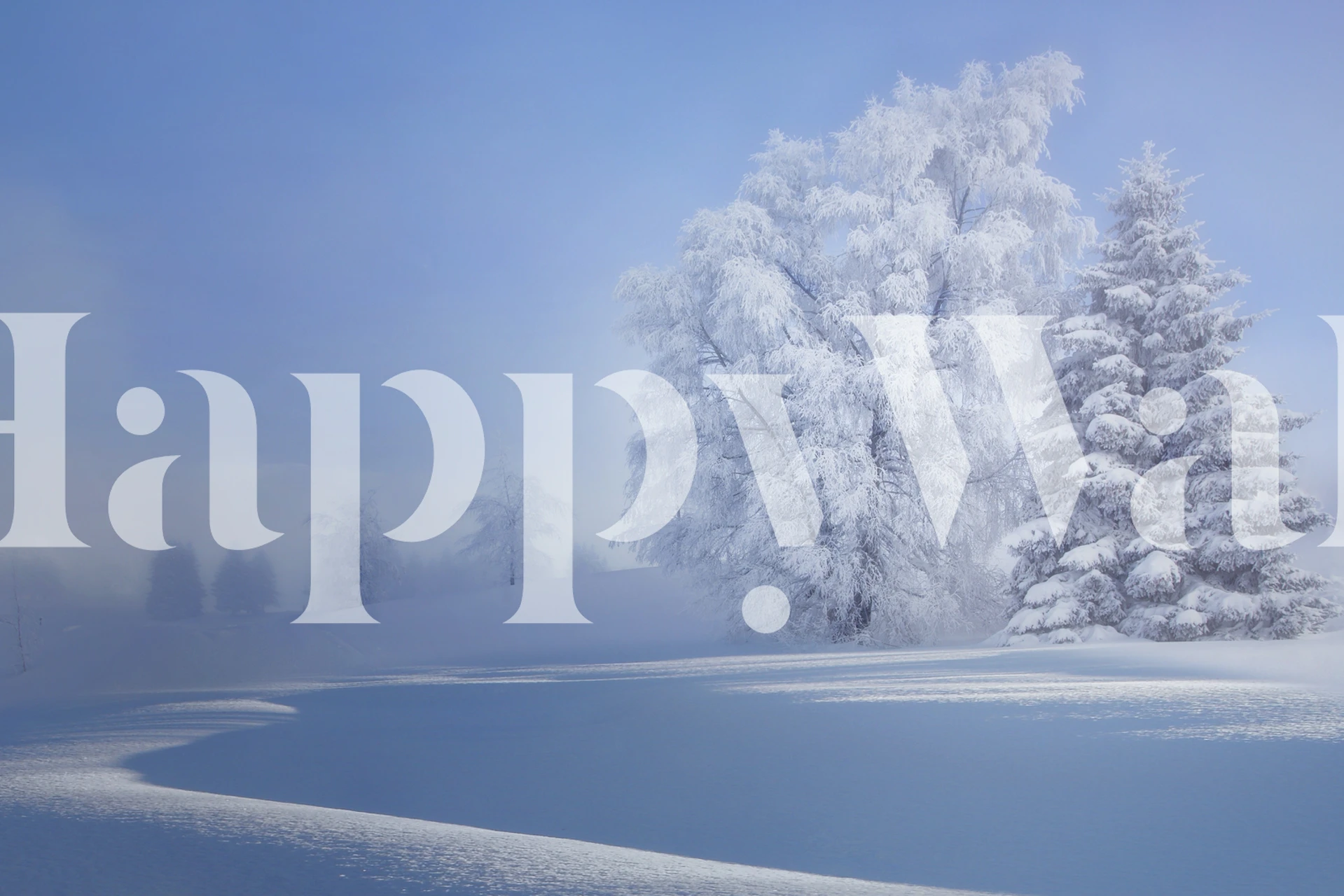 Murale con alberi ricoperti di brina in una nebbiosa mattina d'inverno