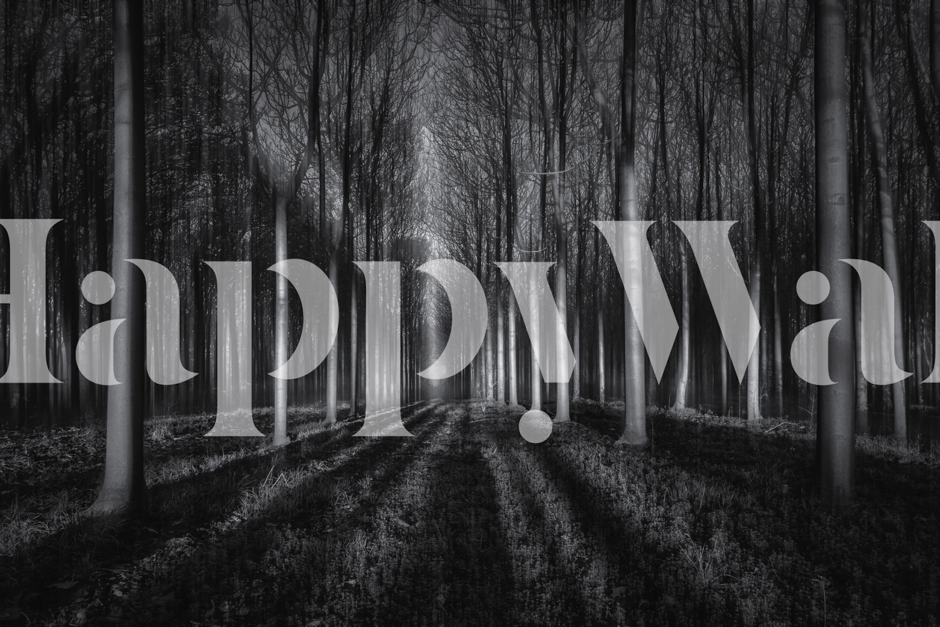 Into The Forest wallpaper design in a room