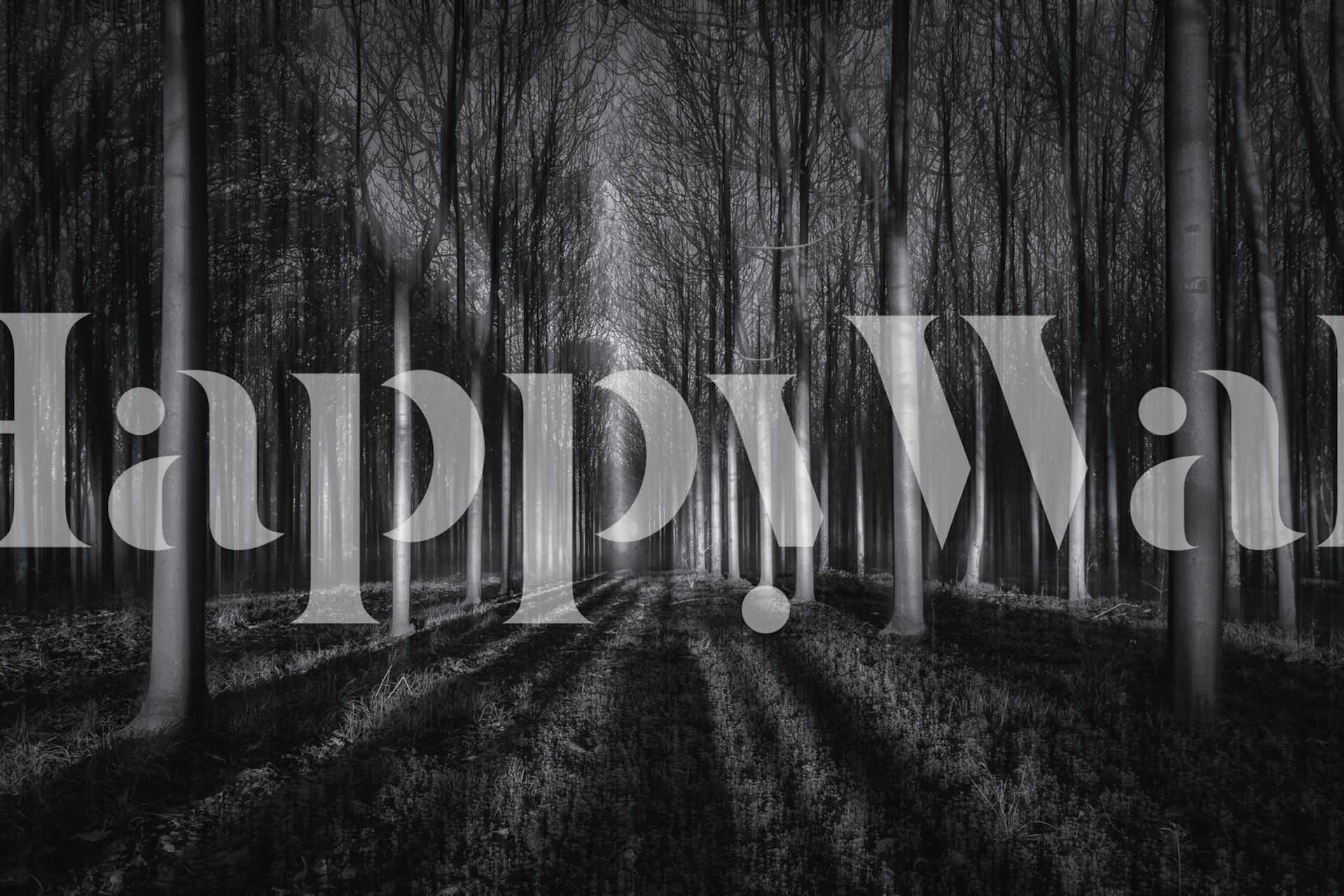 Into The Forest Tapetdesign in einem Raum