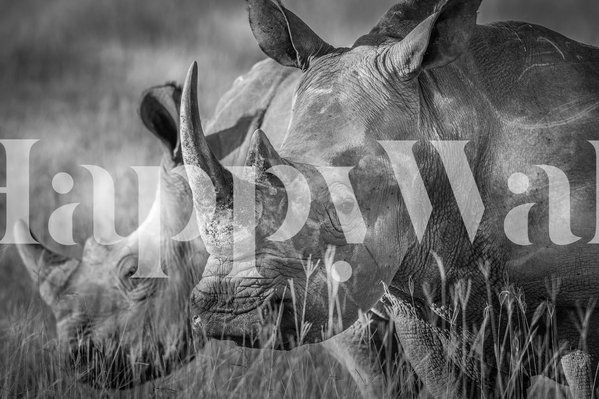 black and white rhino wall mural in a natural setting