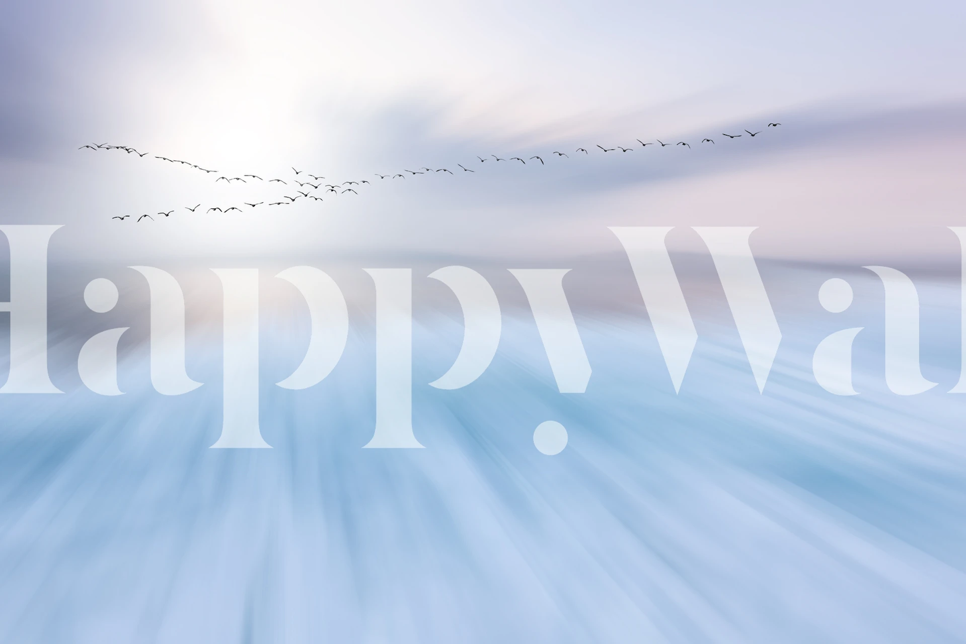 Fly over wallpaper in a serene room setting