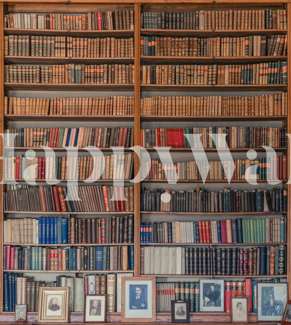Wooden bookshelf filled with colorful books and framed photos wallpaper