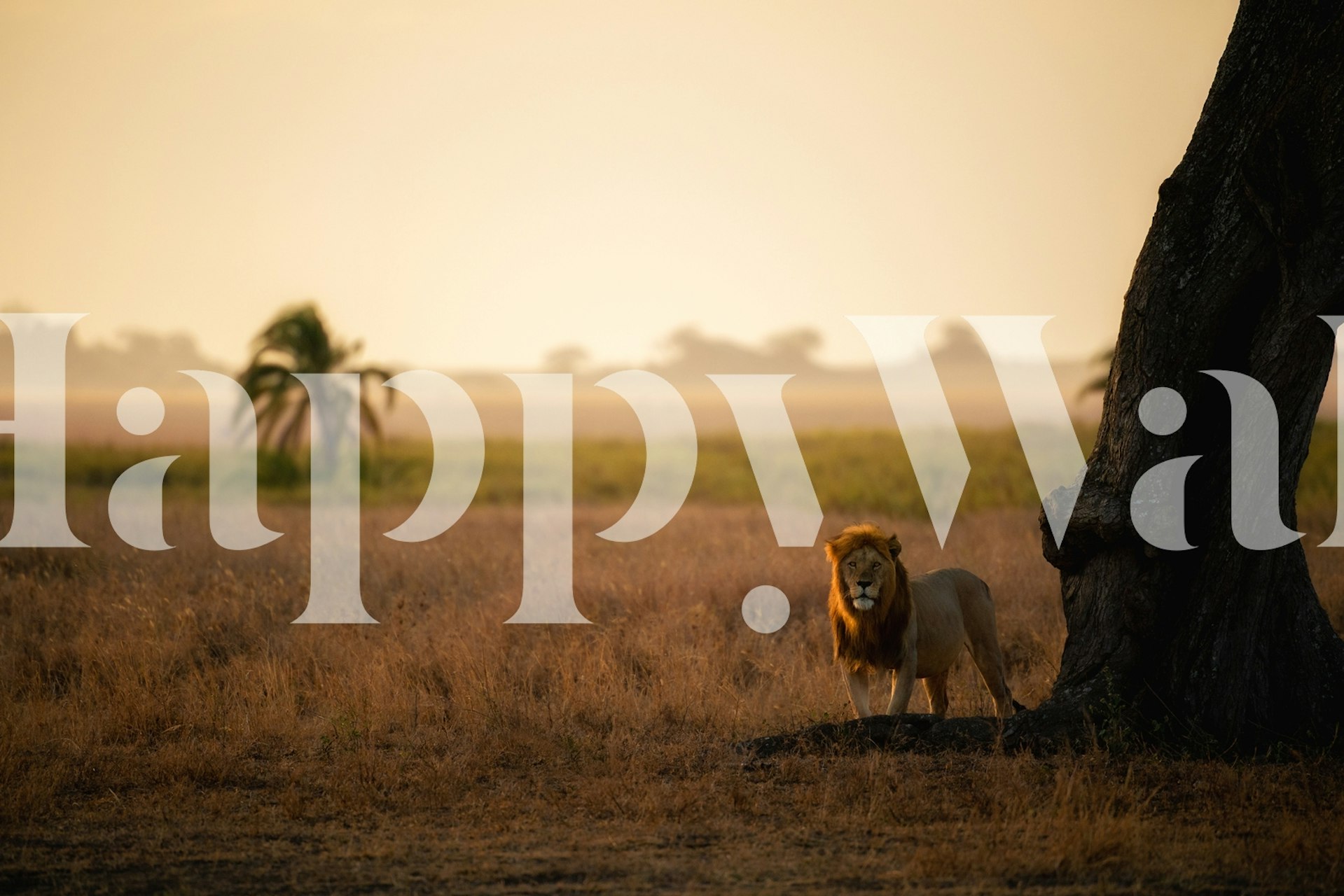 Palm Tree King wallpaper in a vibrant interior