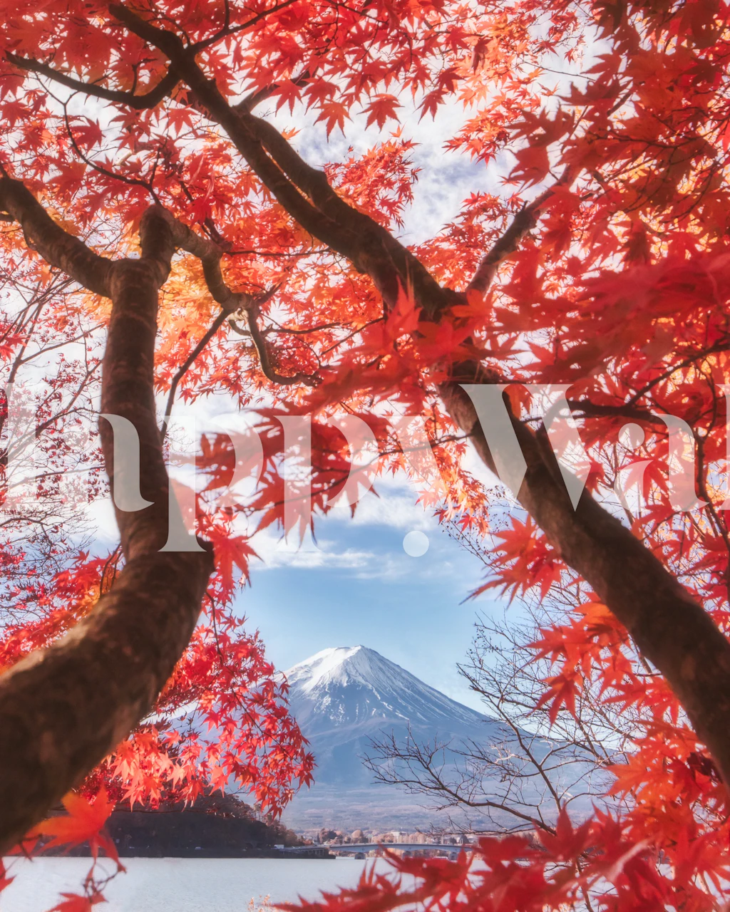 Mount Fuji framed by vibrant red autumn leaves wallpaper