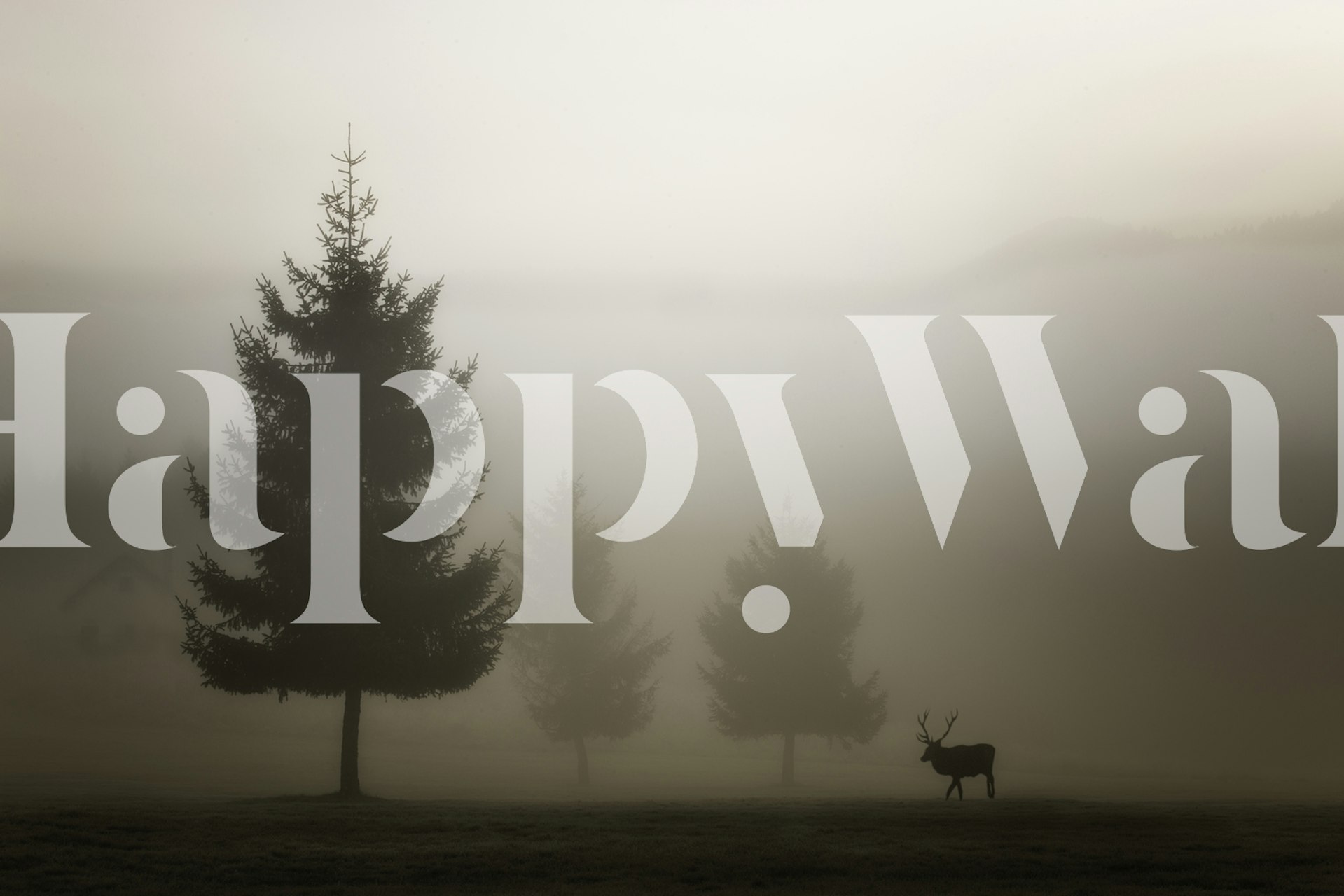 Looking for Love wallpaper in a room