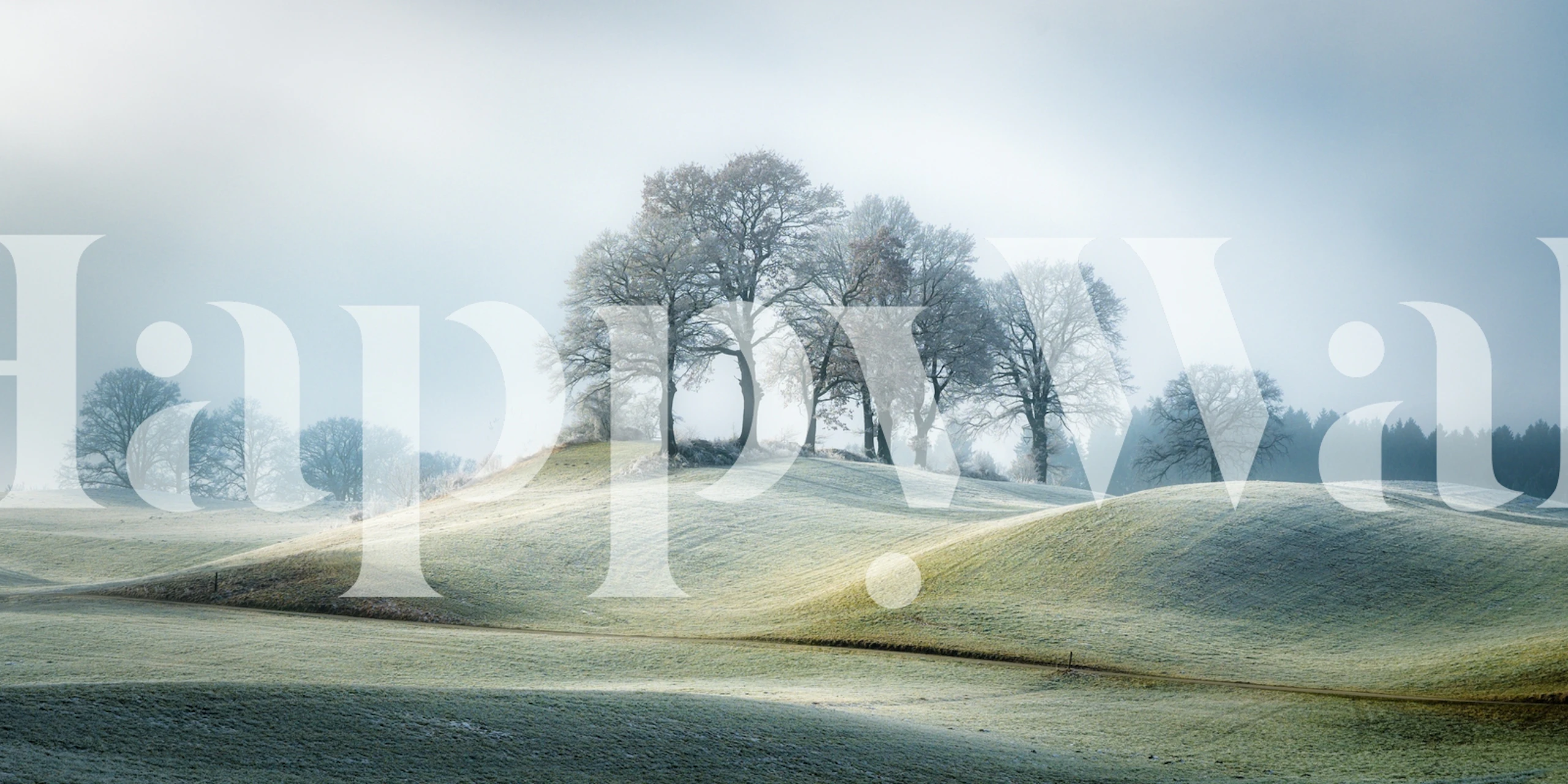 Mystisk tåget bjergskråning med nøgne træer vægmaleri