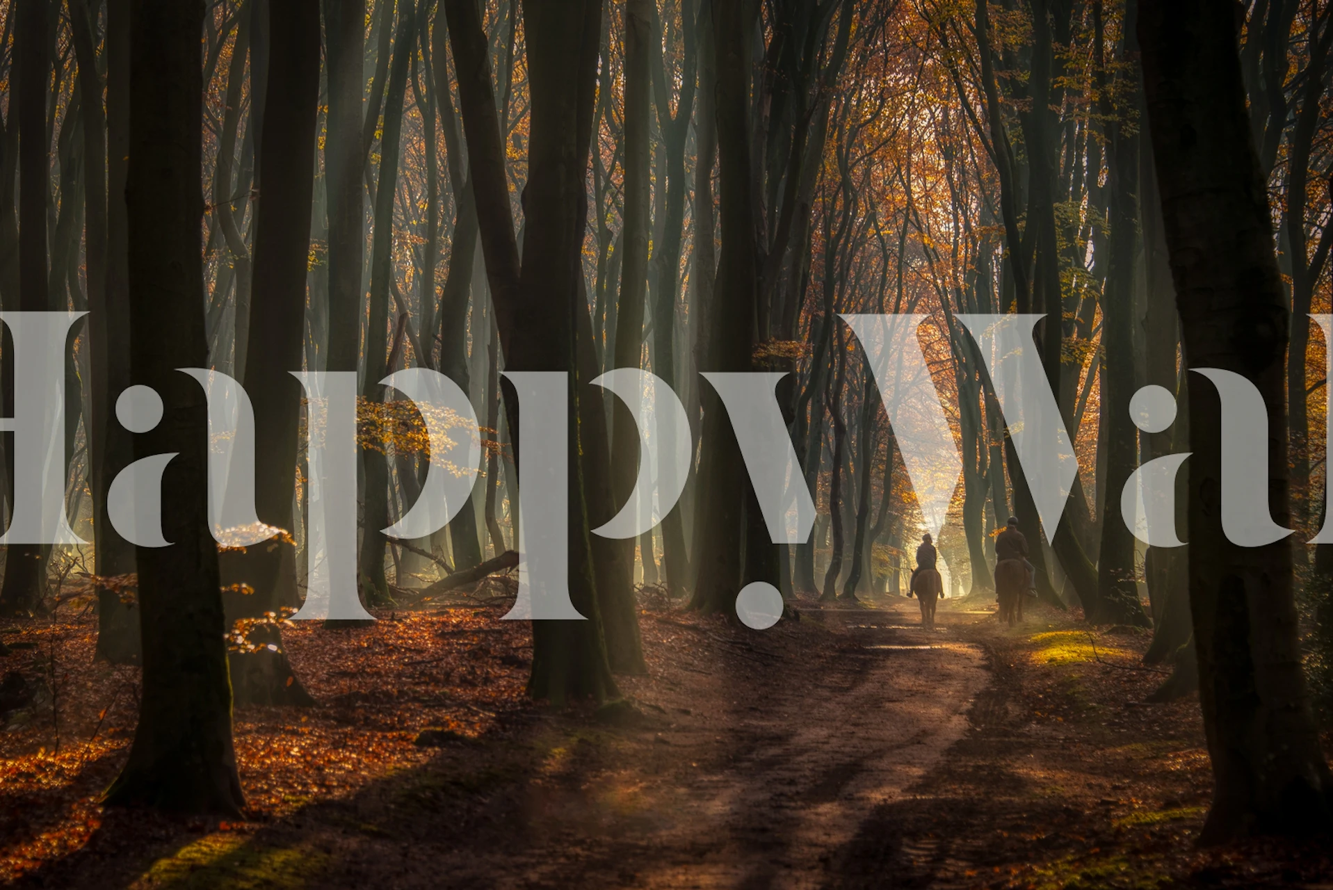 Forest pathway with autumn foliage and distant figures wallpaper