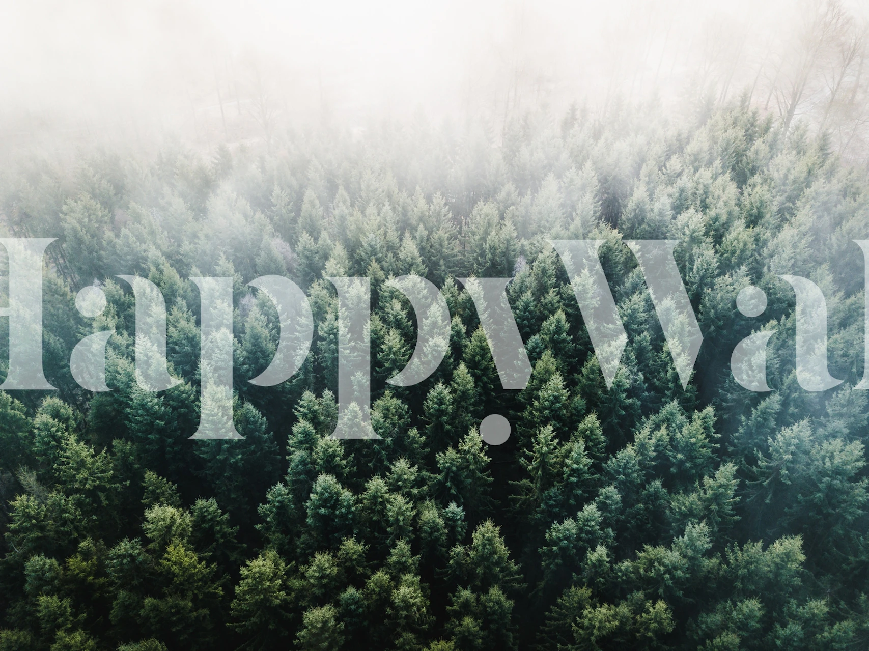 Aerial view of a lush green forest with misty background wallpaper