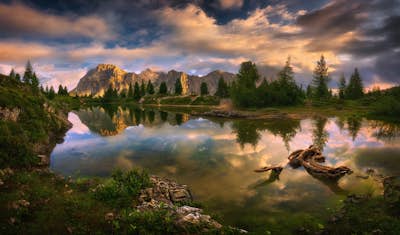 Τοιχογραφία