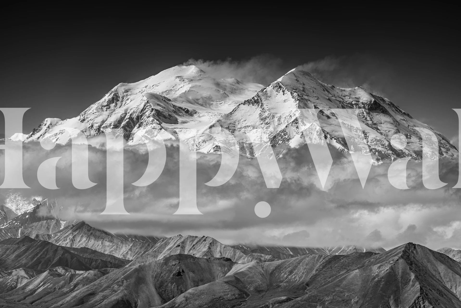 Denali mountain wallpaper in a room