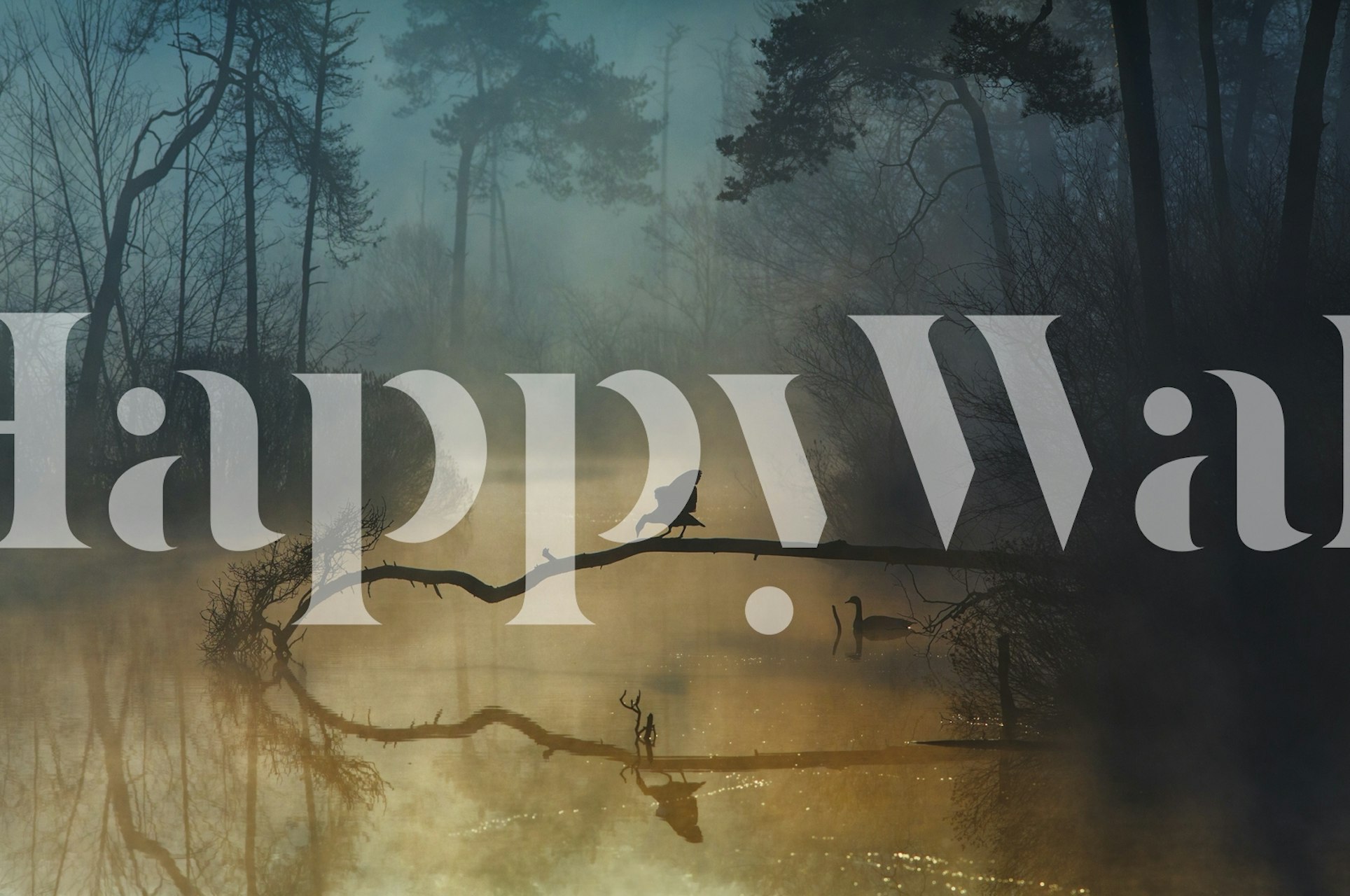 Blue Hour wallpaper in a serene room setting