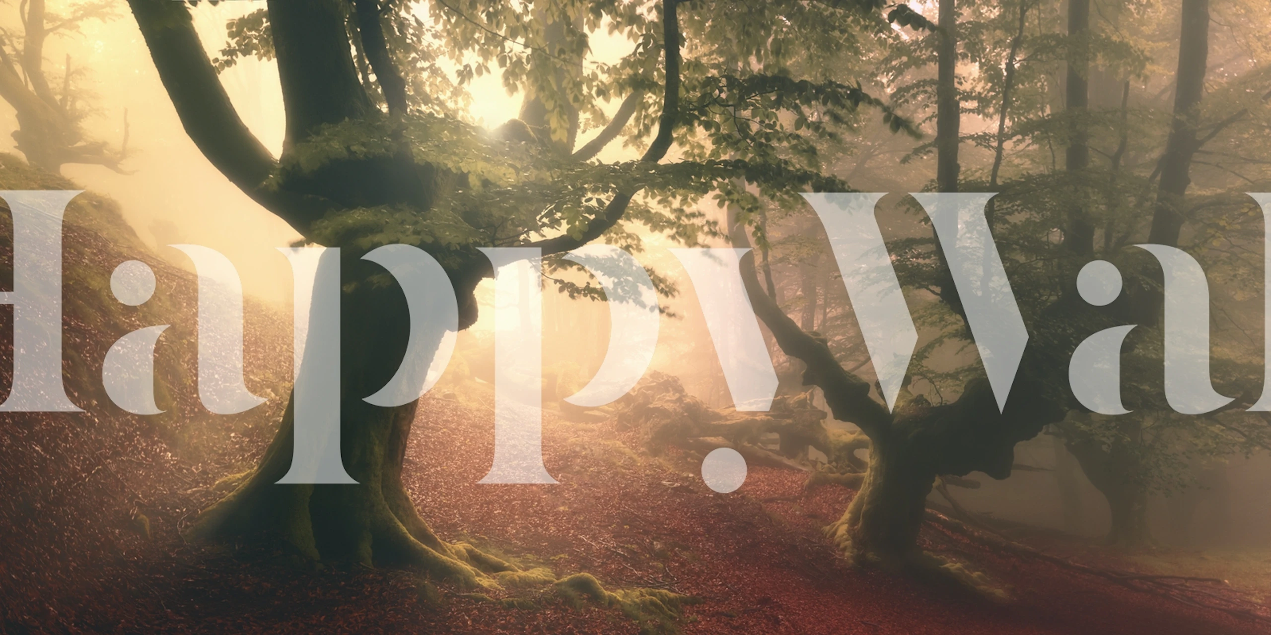 Foggy forest scene with twisting trees and fallen leaves wallpaper