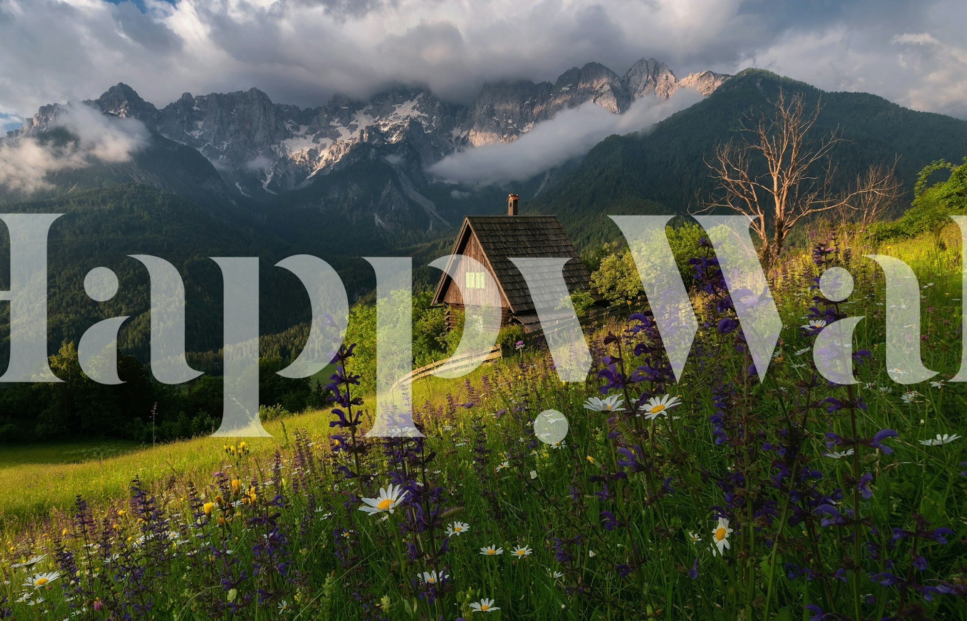 On the meadows tapet i et rom