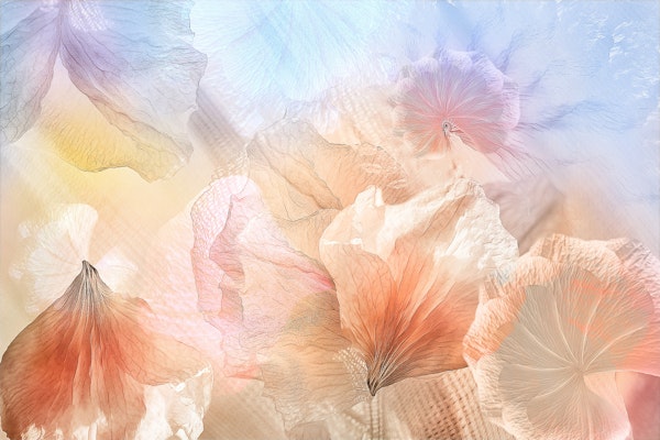 Ethereal flowers