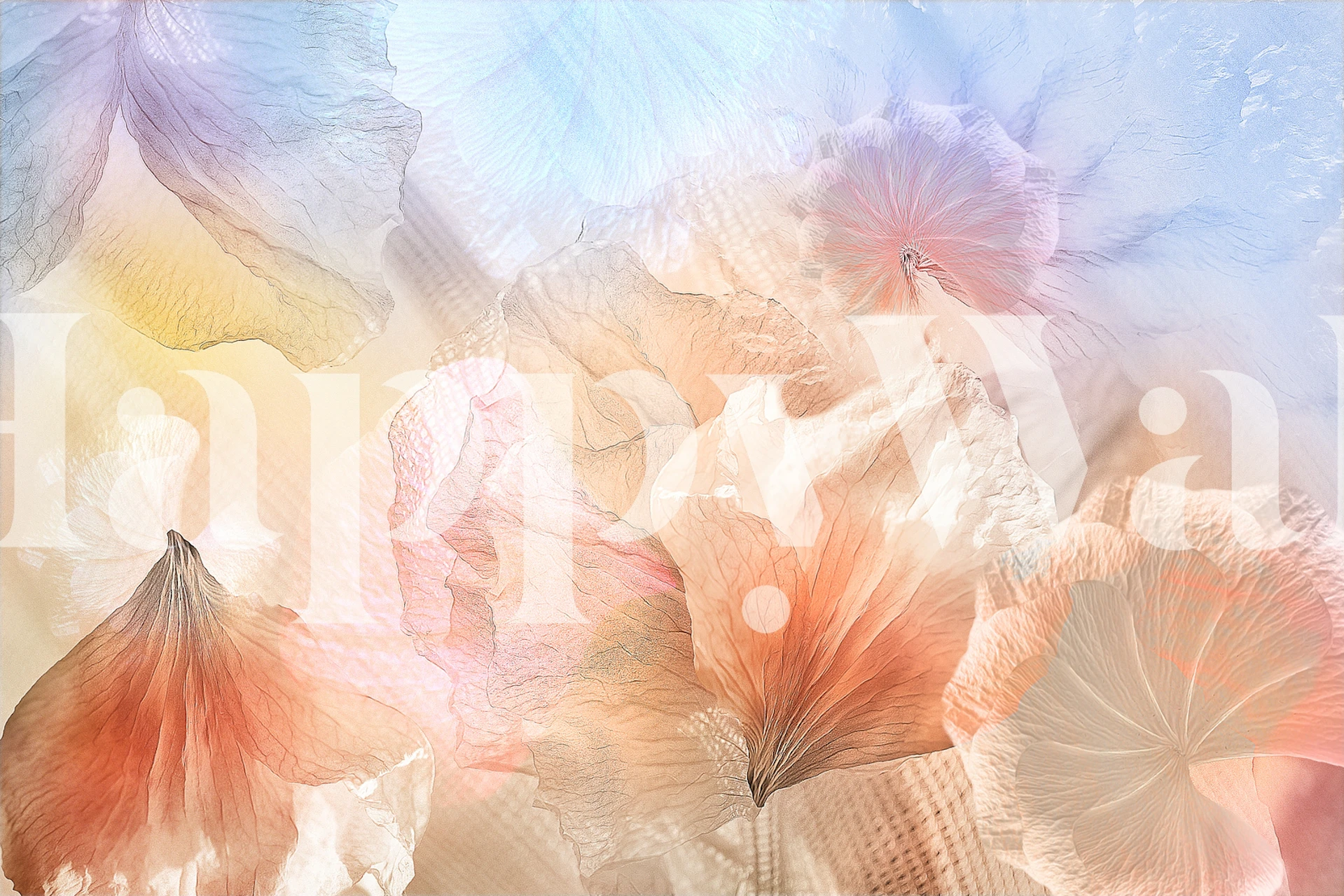 Ethereal floral wallpaper featuring soft pink and peach petals, light blue background, delicate and dreamy style.