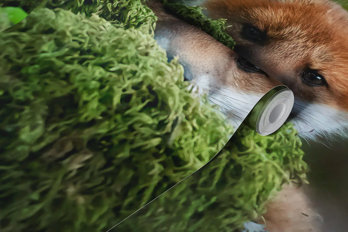 Curious fox wallpaper roll
