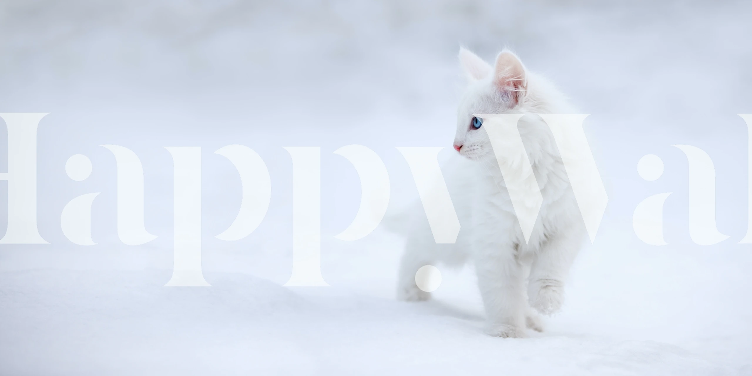 Tapeta White as Snow w pokoju