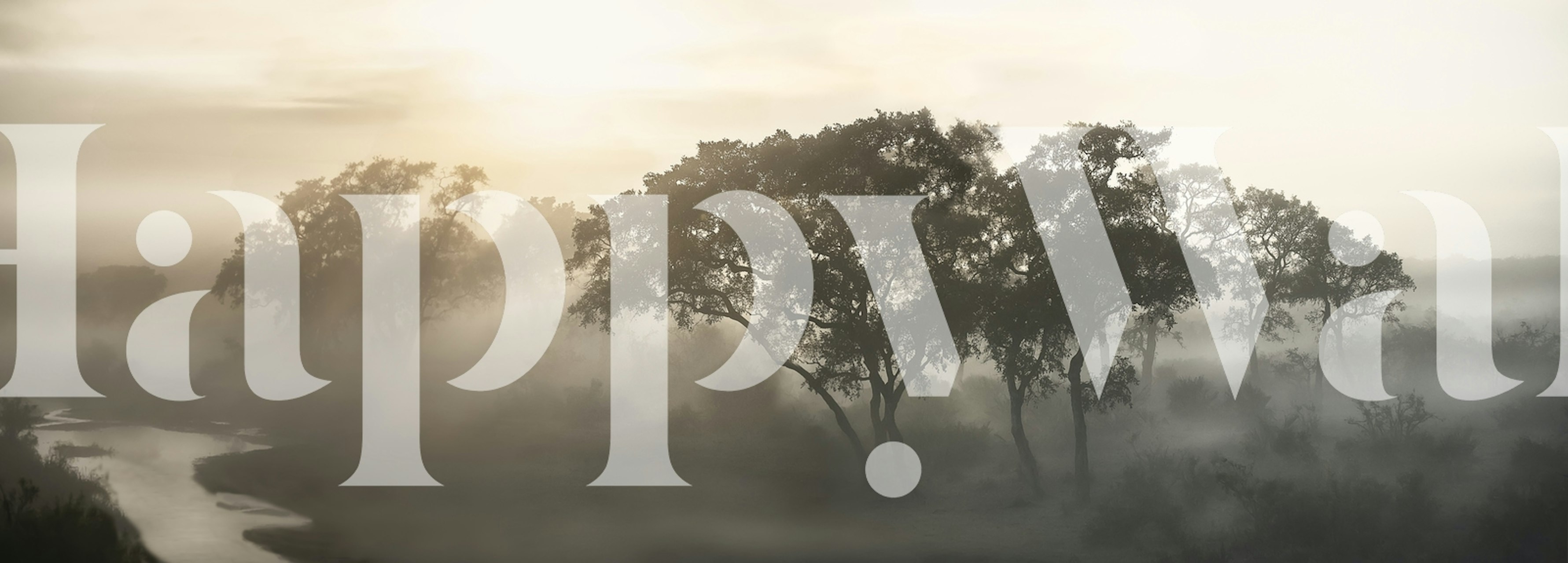 Misty landscape wallpaper in a room