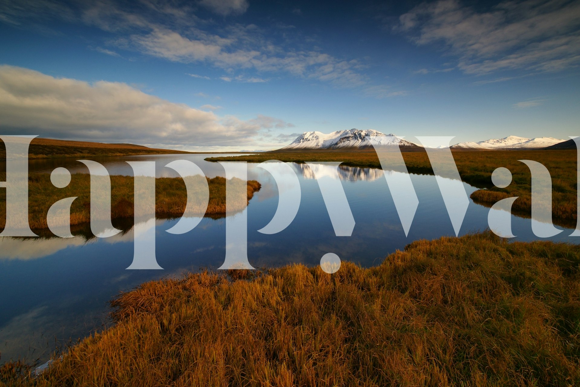 Dreams wallpaper in a room setting