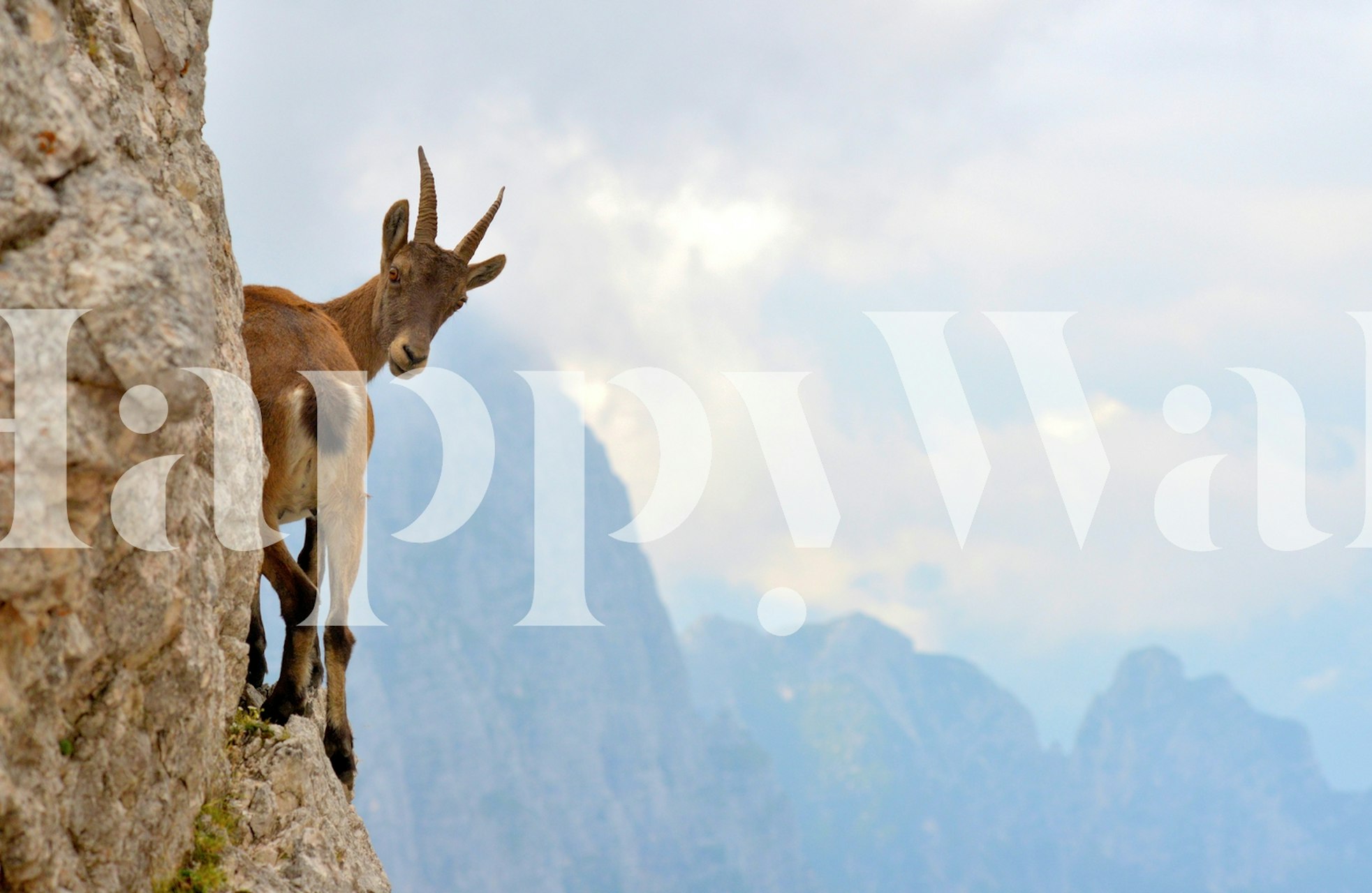 Mountain goat on cliff wall mural