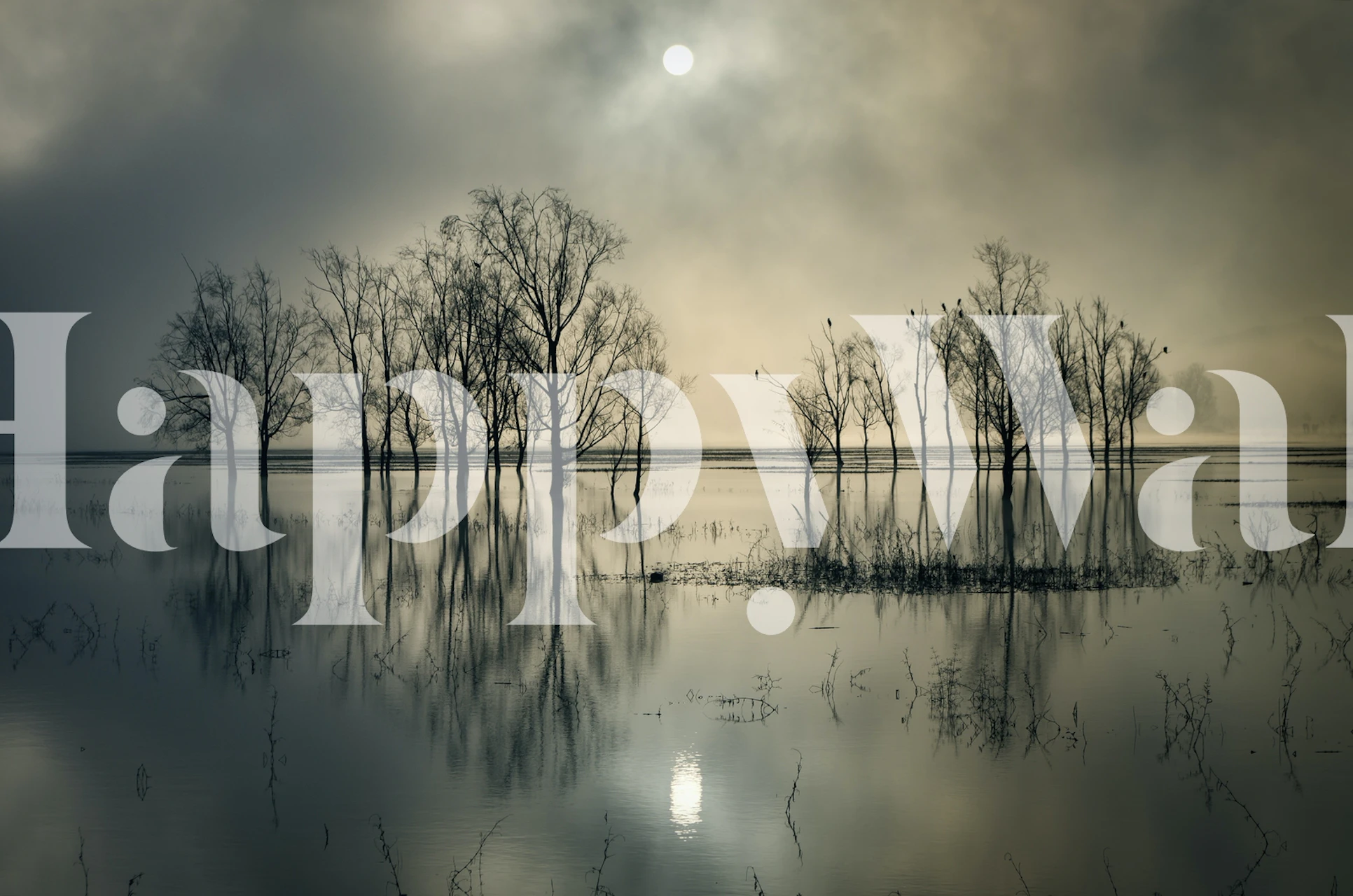 Misty lake landscape featuring trees and sun reflection wallpaper