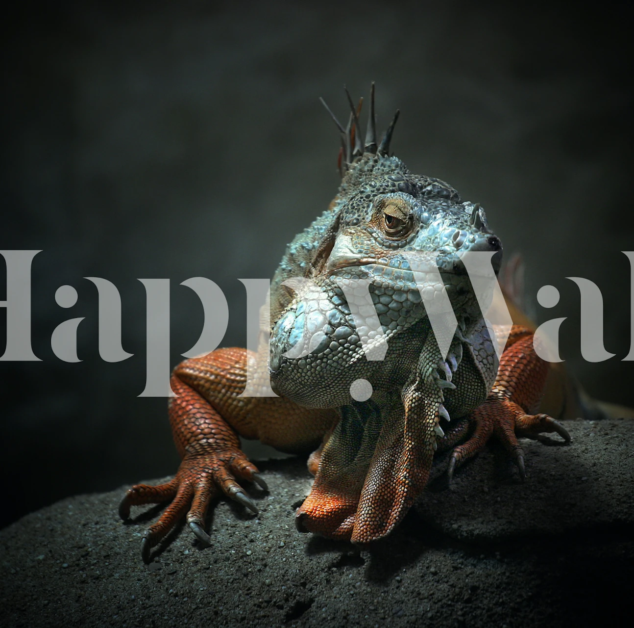 Bold konge tapet i et stilfuldt rum I am the King who else !