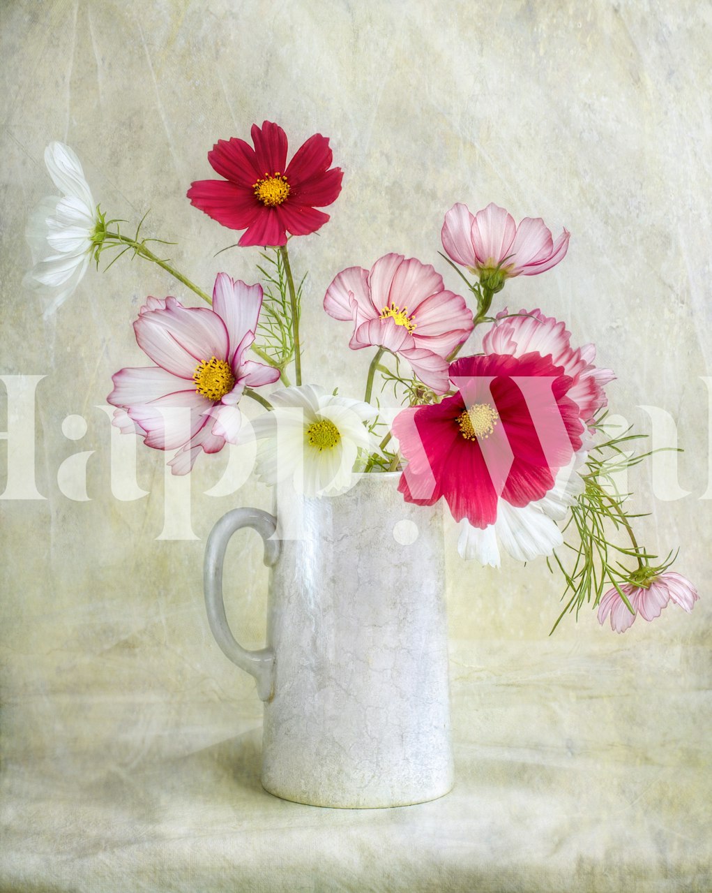 Pink and white cosmos flowers in a vase wallpaper
