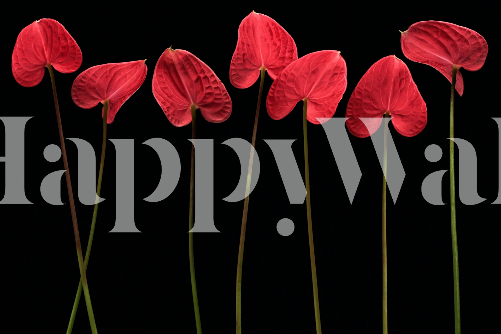 Botanical hearts wallpaper in a room