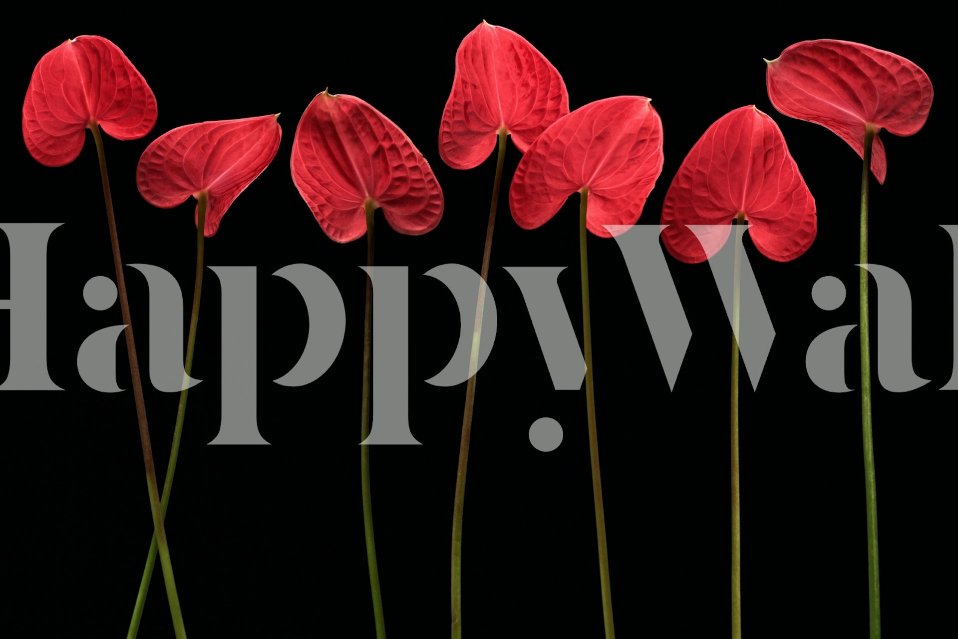 Botanical hearts wallpaper in a room