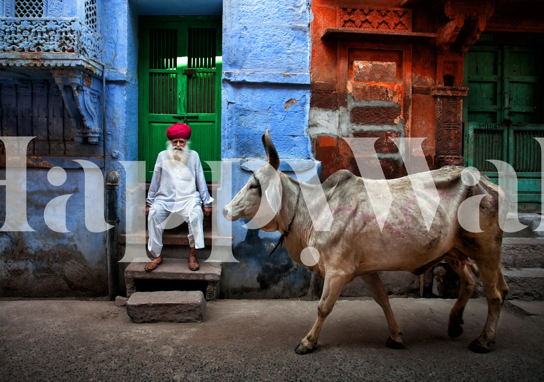 Fond d'écran captivant d'Inde présentant des paysages, des monuments et des cultures vibrantes
