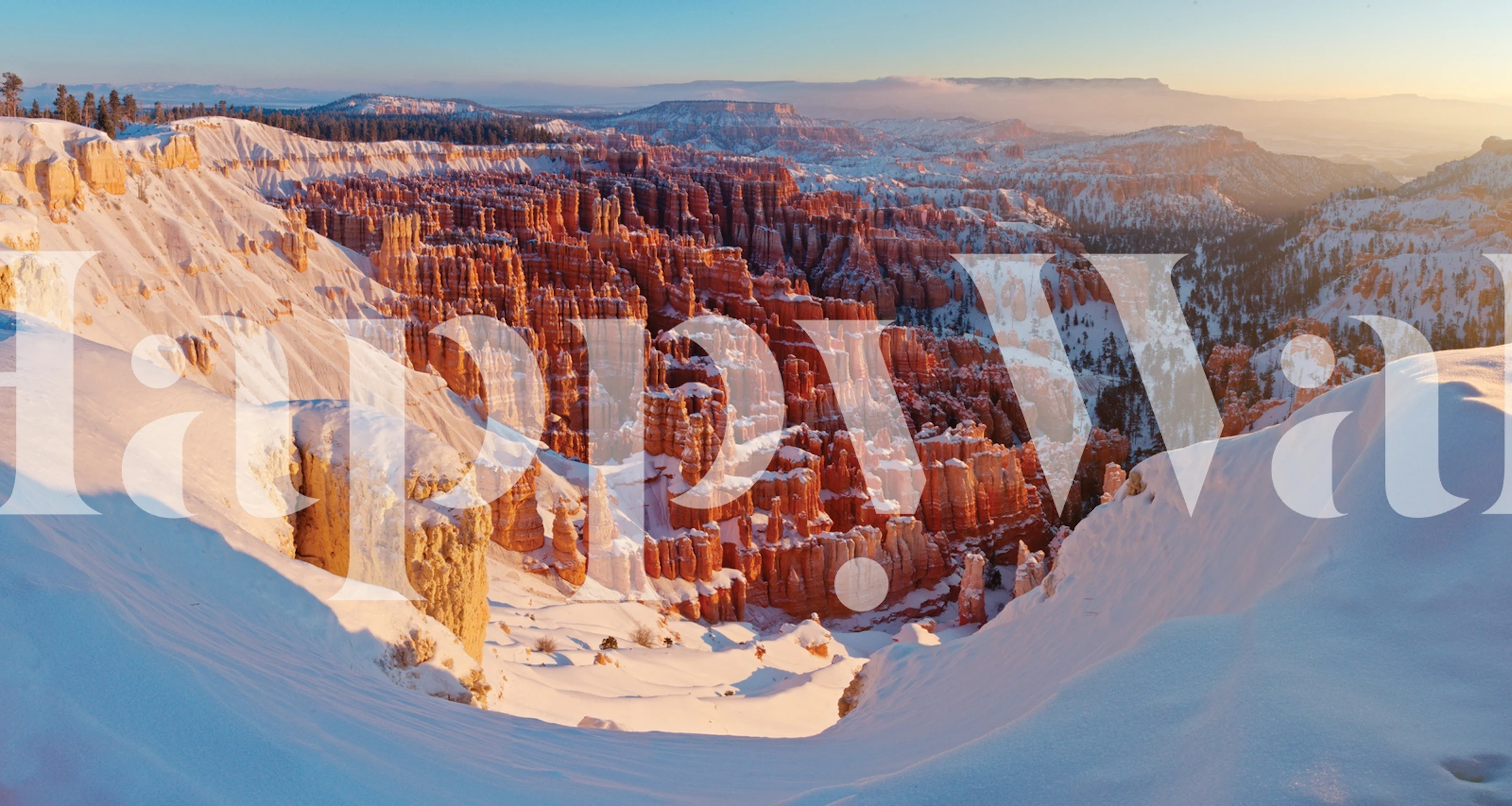 Inspiration point wallpaper in a room