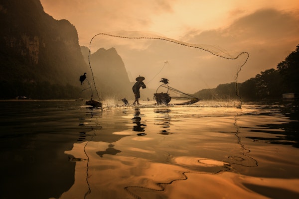 Spread The Fish Nets