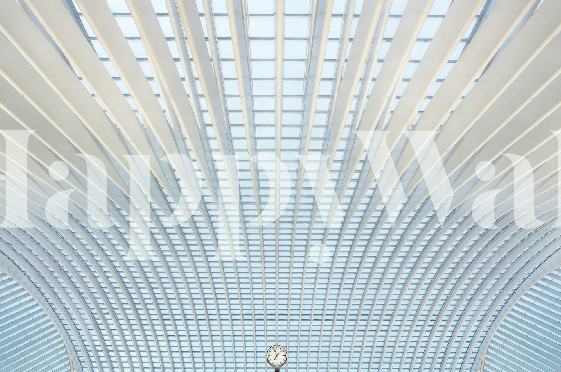 White line art pattern with curves and angles wallpaper