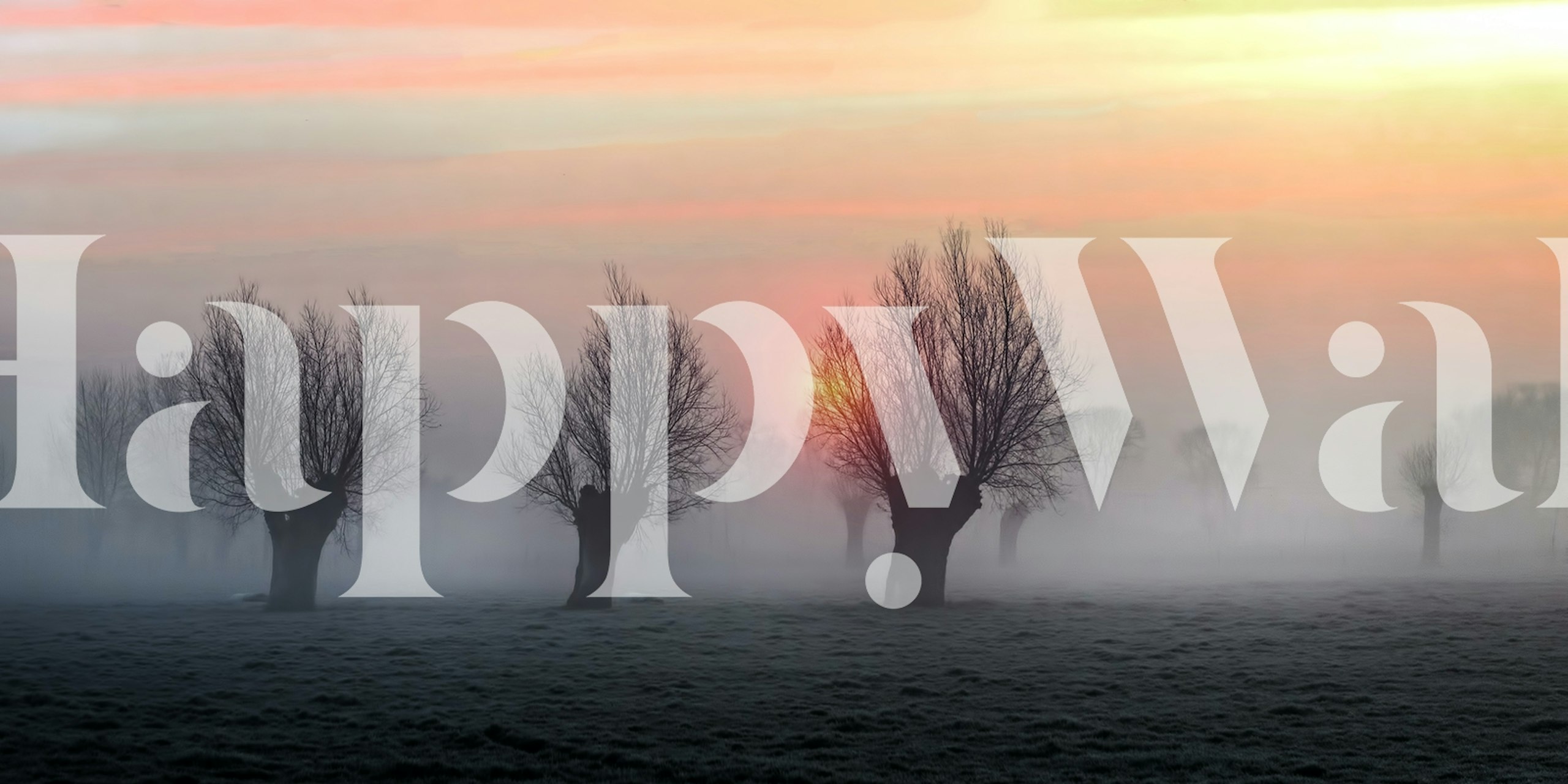 Misty fog landscape with silhouetted trees and soft sunset colors wallpaper