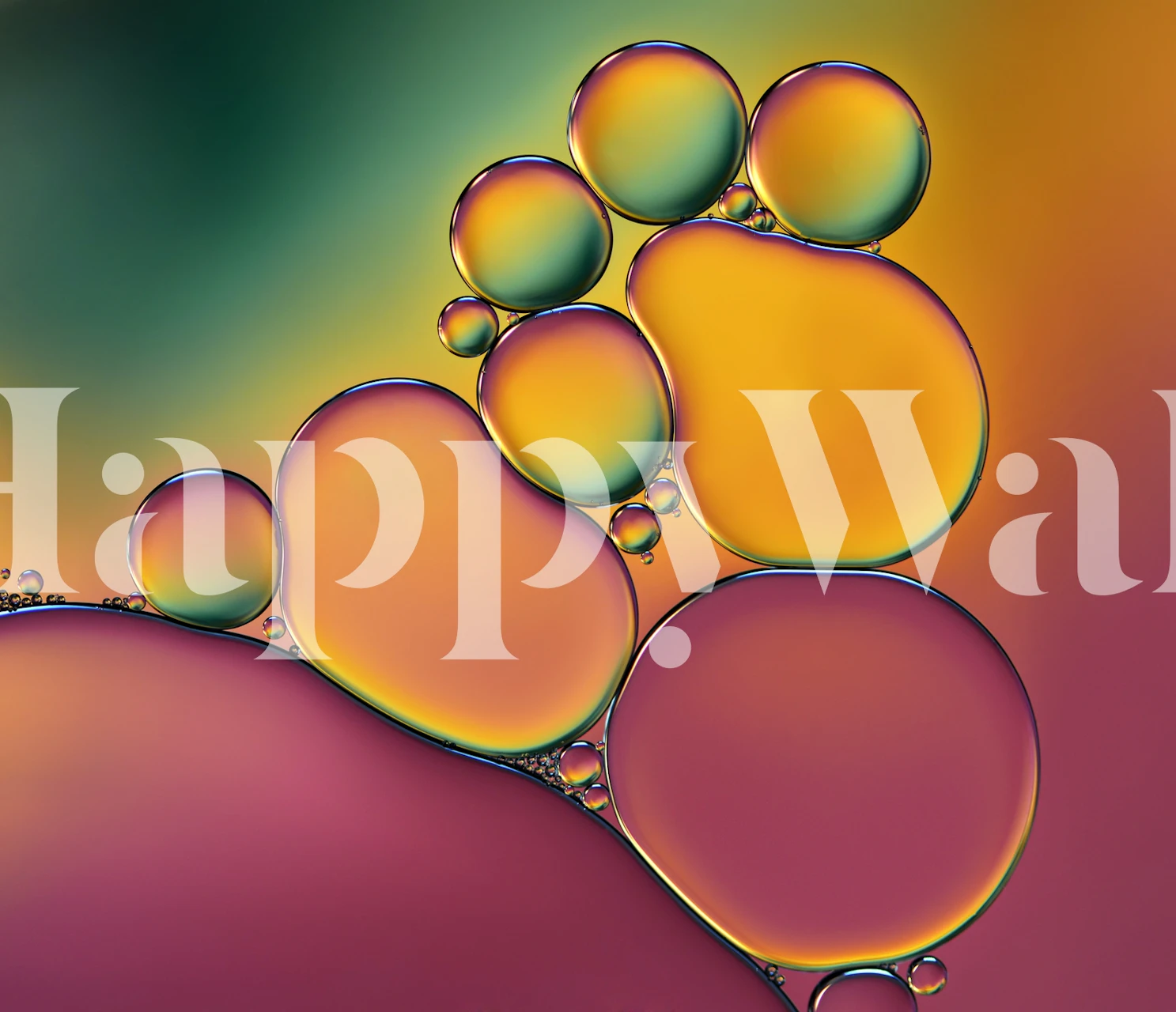 Colorful abstract bubble design with various sizes and gradients wallpaper