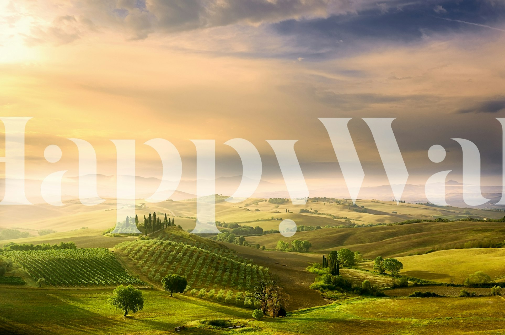 Podere Belvederes Sunrise wallpaper in a room