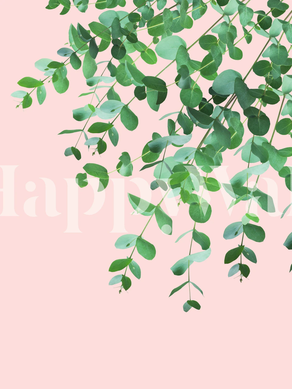 Eucalyptus branches with lush green leaves against a blush pink background wall mural