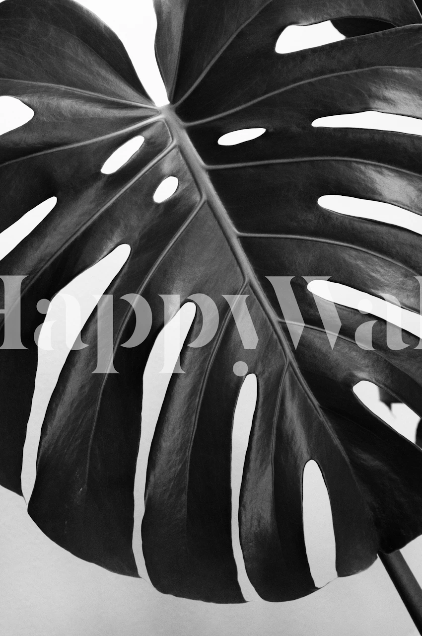 Detail of Monstera Leaf 3 wallpaper in a styled room