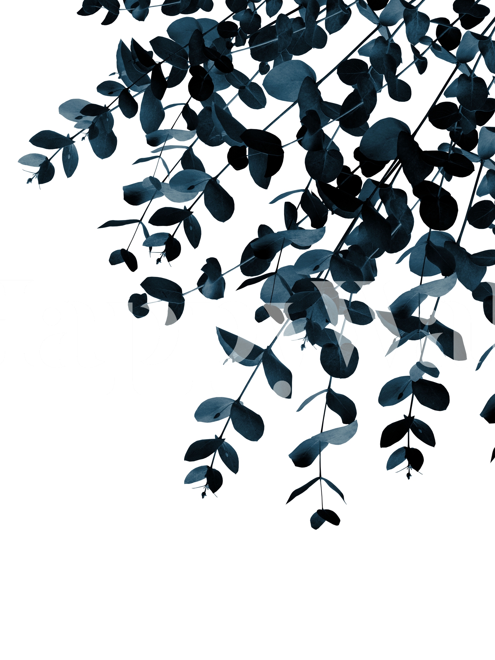 Eucalyptus Blue Delight 1 Wallpaper | Happywall