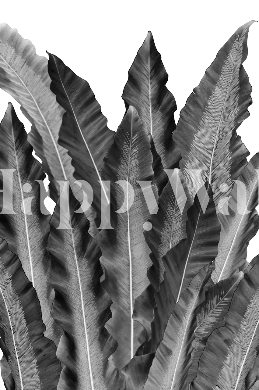 Monokrom undervandsblade tapet