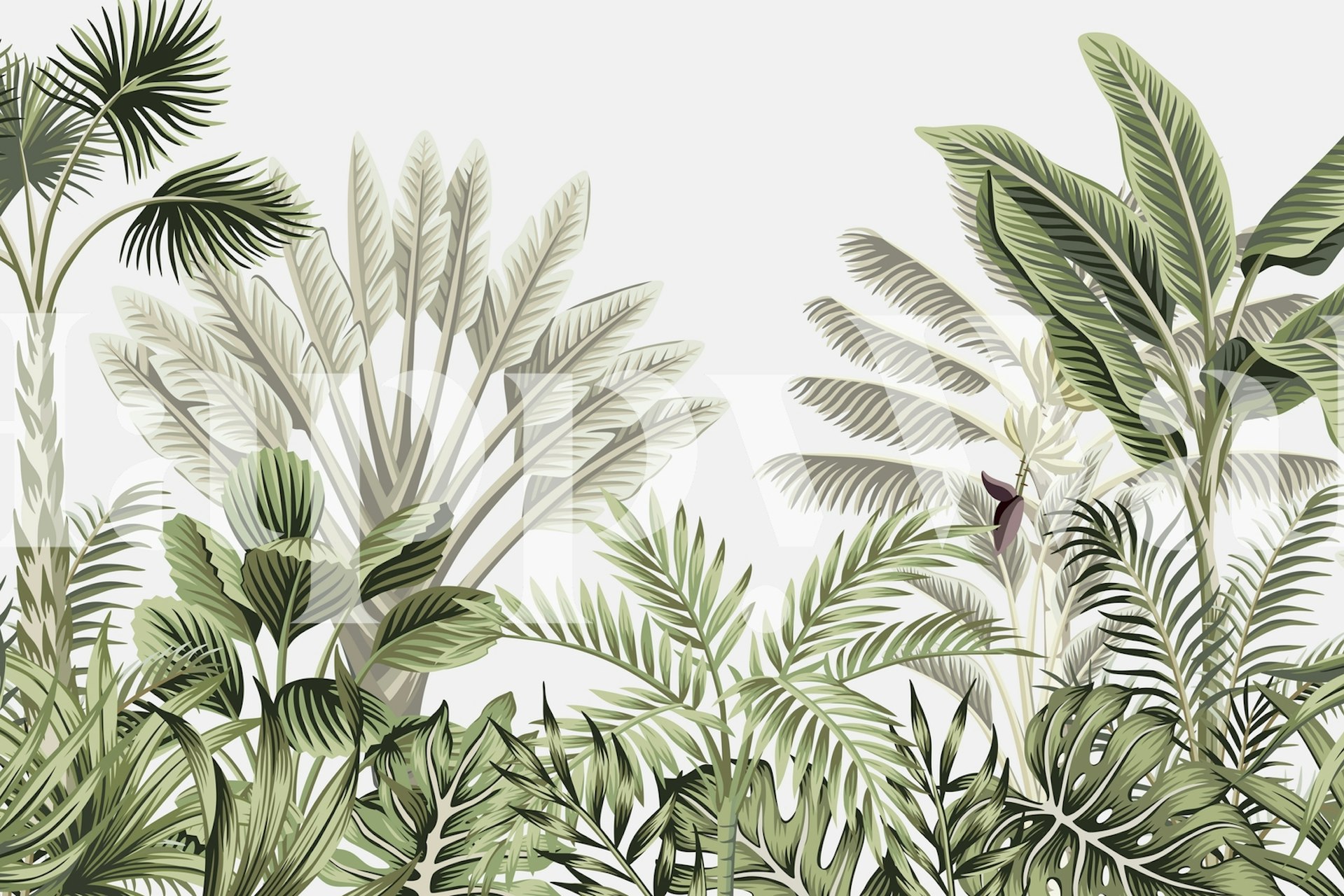 Tropical Tree 2 fotobehang met weelderig groen blad op een zachte achtergrond