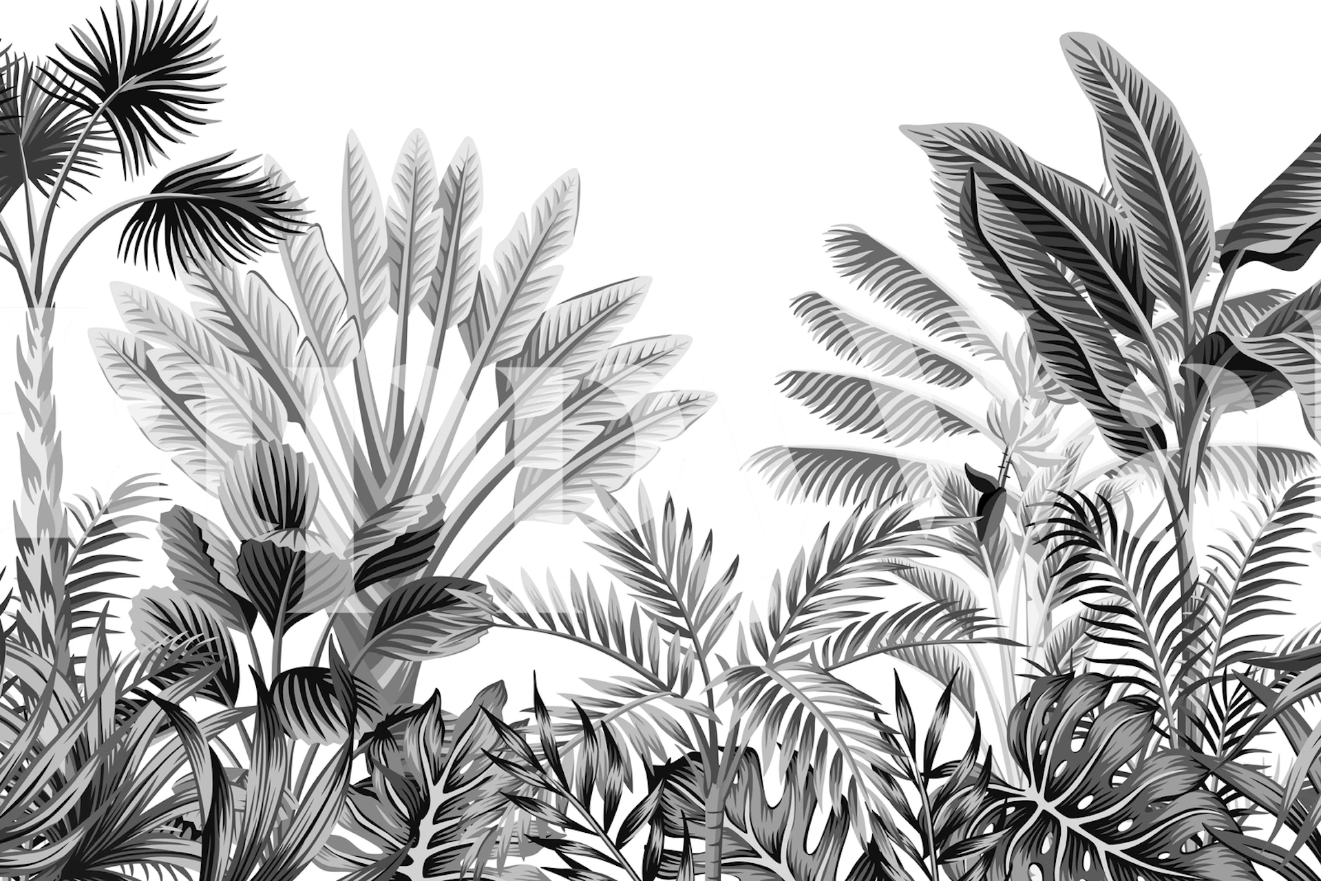 Tropical Tree 4 wallpaper in a room