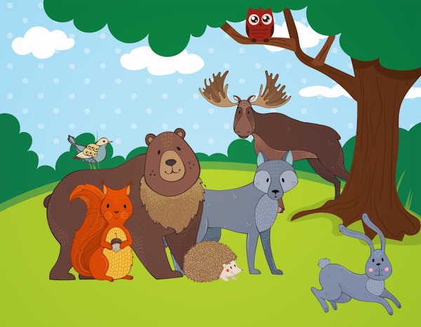 Woodland Friends in Forest