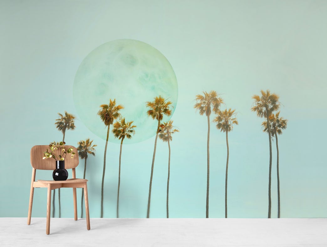 Buy Palm Trees And Full Moon Wall Mural Free Shipping At