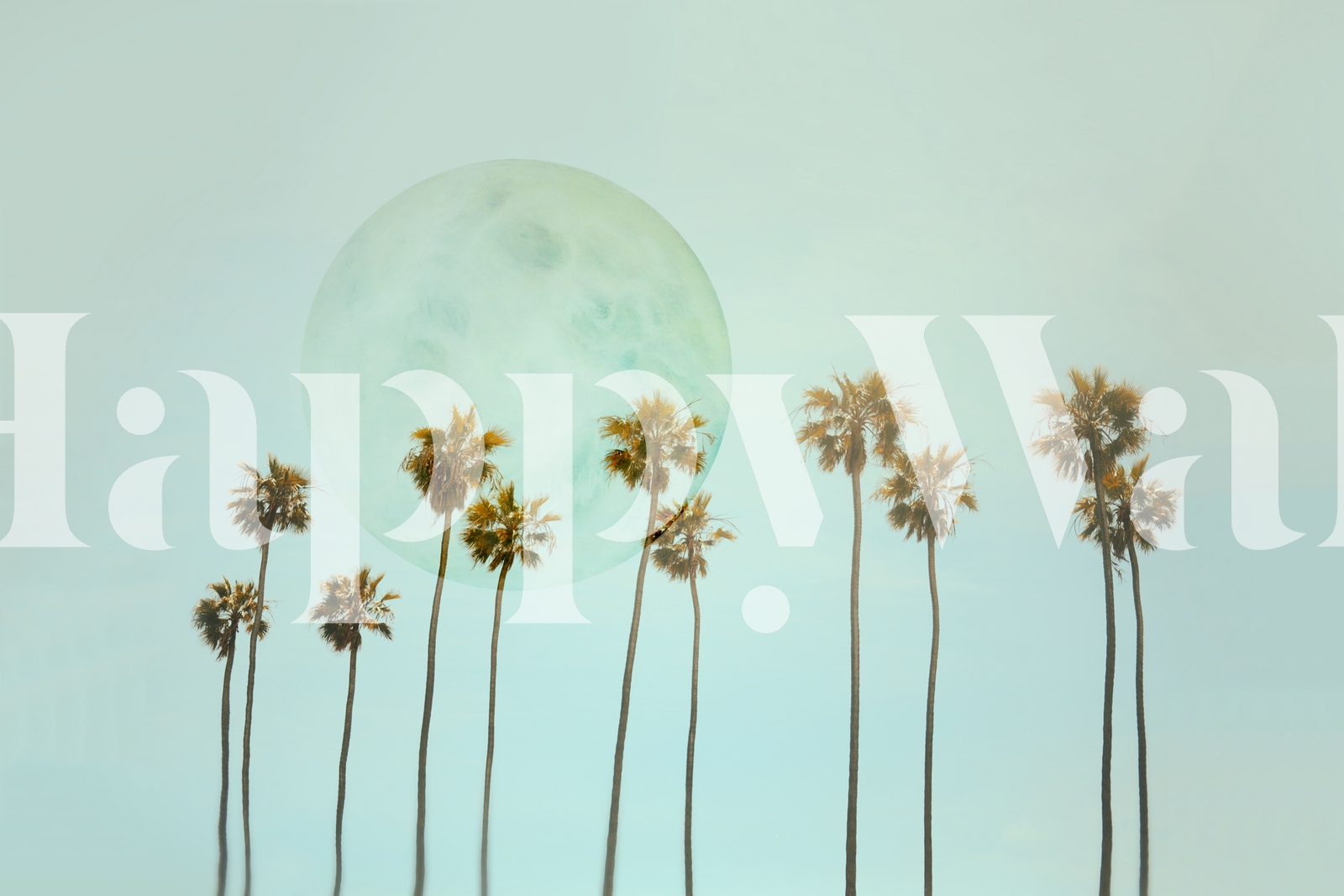 Palm Trees and Full Moon Wallpaper - Happywall