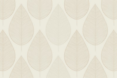general.design-type-header-mural