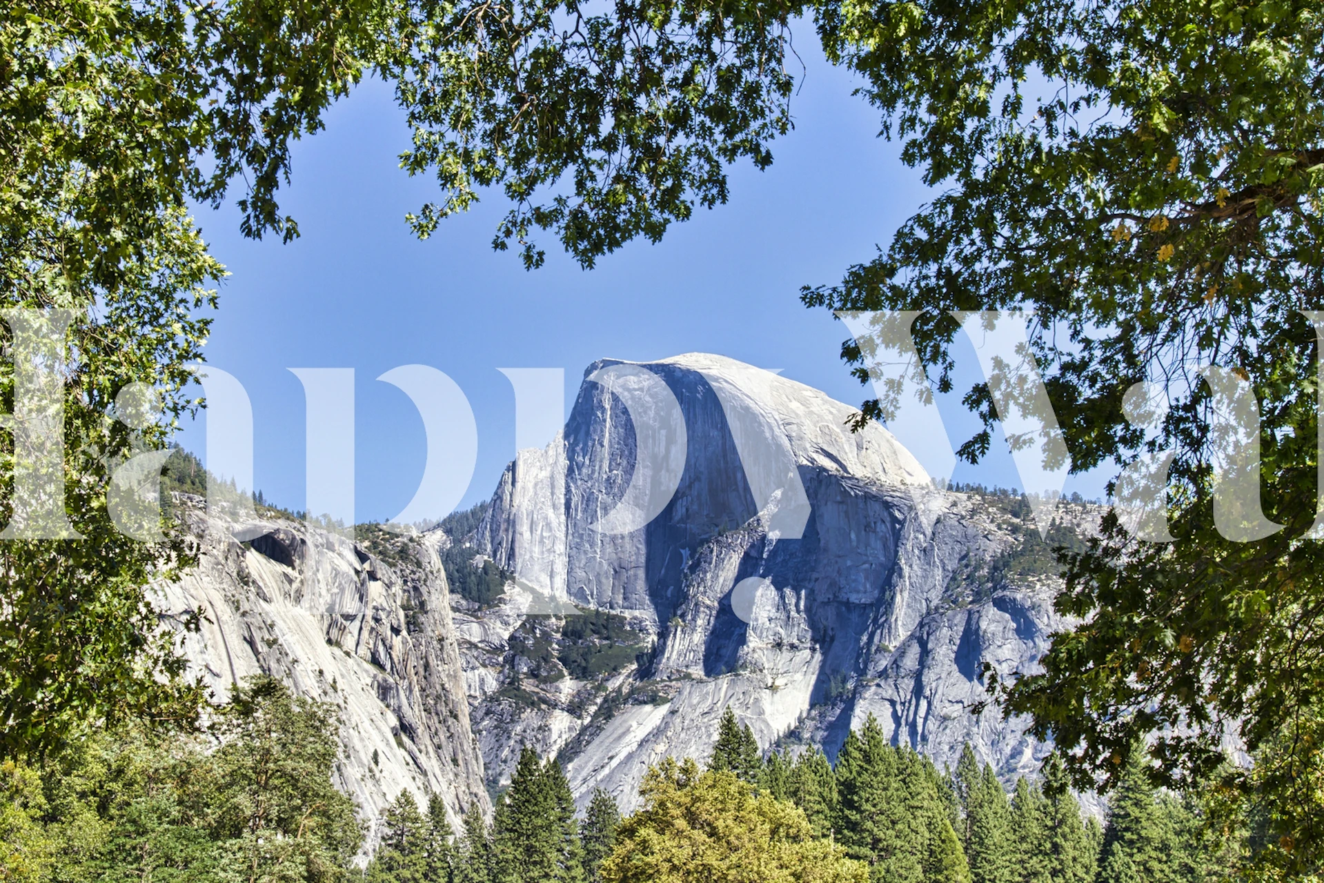 Yosemite Valley Half Dome Zidna Slika S Pogledom Na Kultni Granitni Monolit Okružen Zelenilom