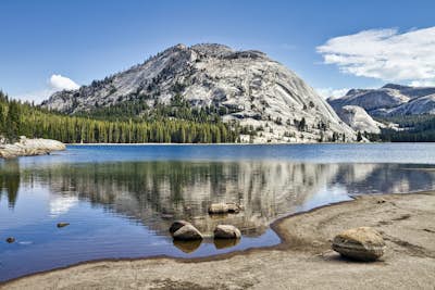 Τοιχογραφία