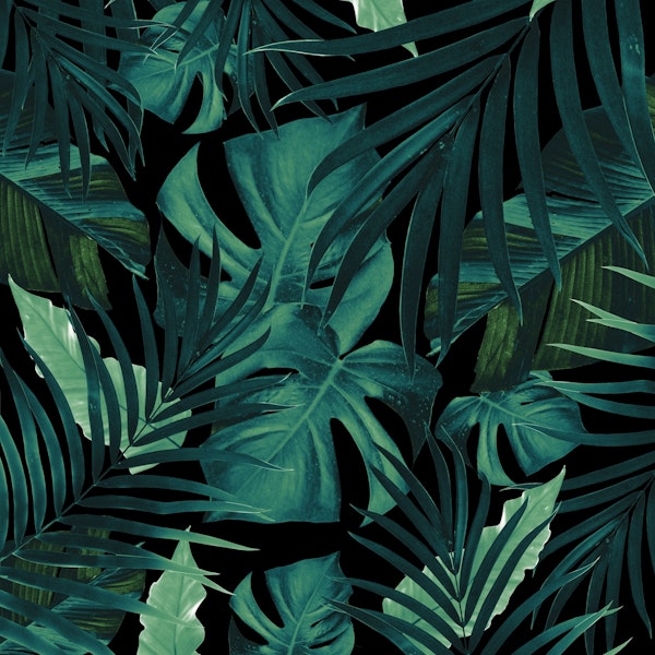 Tropical Jungle Night Leaves 1
